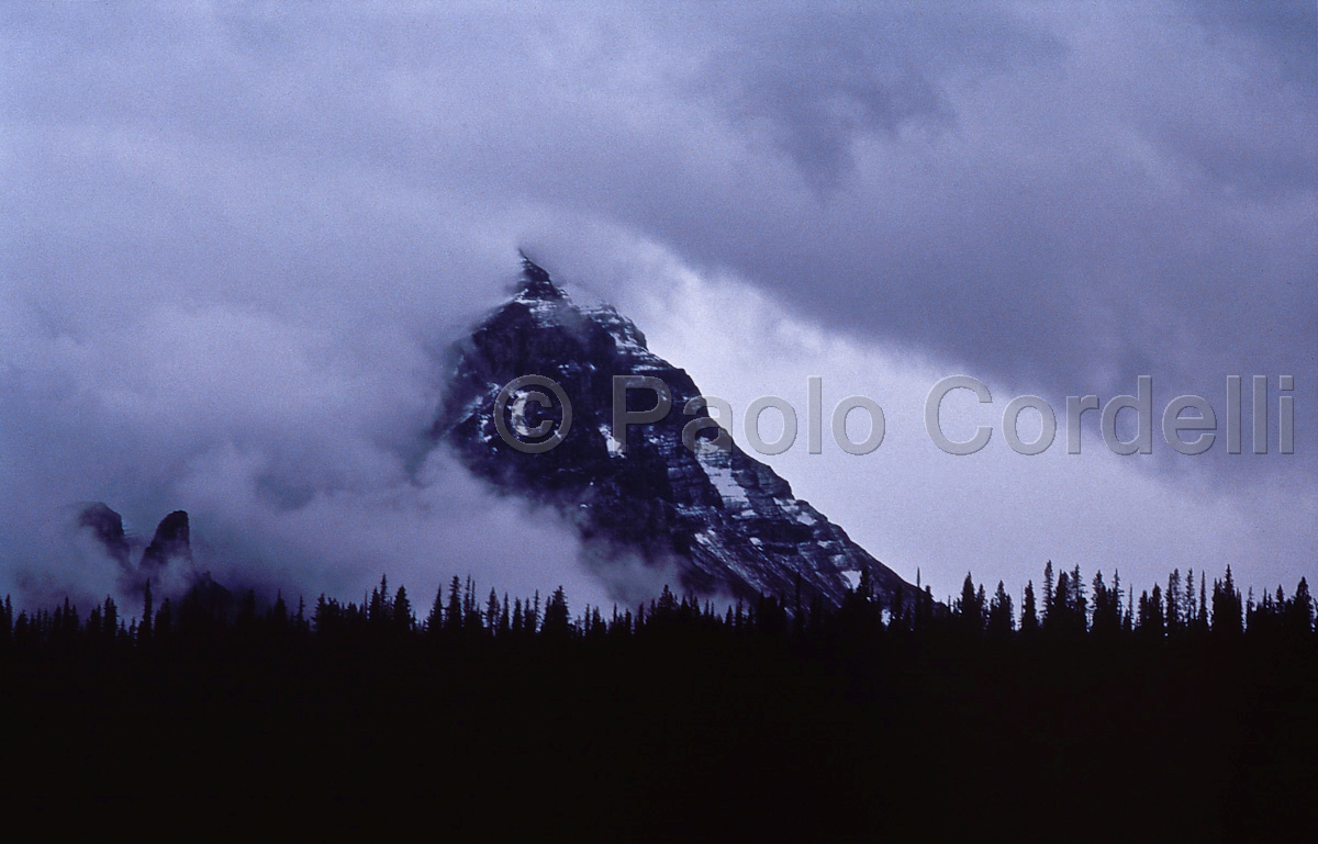 Jasper National Park, Alberta, Canada
(cod:Canada 04)